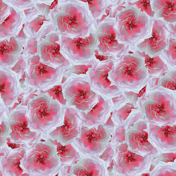 Similar image 21041850