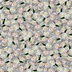 Similar image 21041851