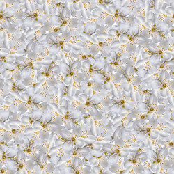 Similar image 21041856