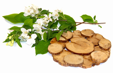 Similar image 21047358