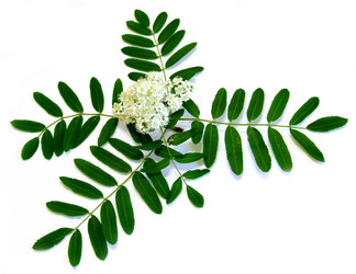 Similar image 21047361