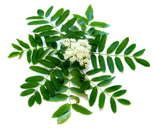 Similar image 21047362