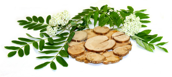 Similar image 21047363