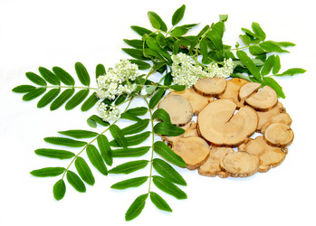 Similar image 21047425