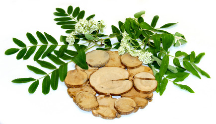 Similar image 21047426