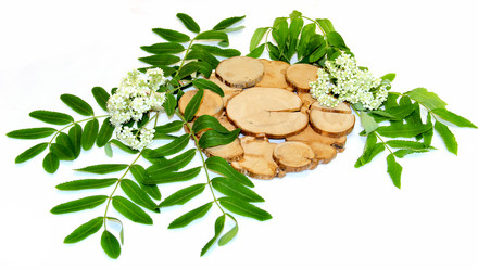 Similar image 21047427