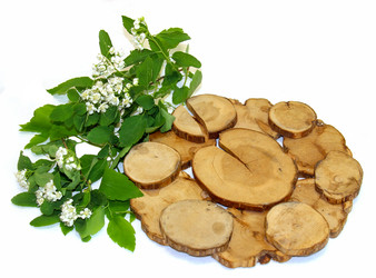 Similar image 21047428