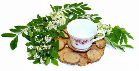 Similar image 21047430