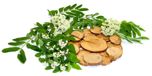 Similar image 21047431