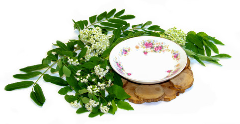 Similar image 21047493