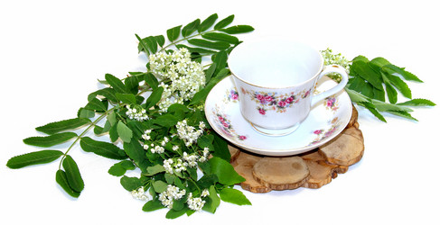 Similar image 21047494