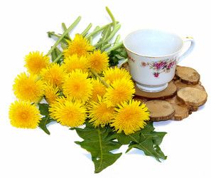 Similar image 21047495