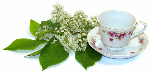 Similar image 21047497