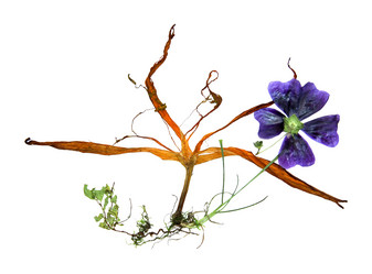 Similar image 21047499