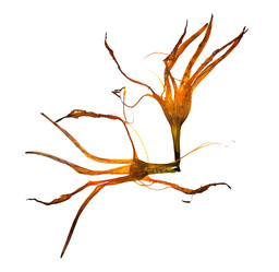 Similar image 21047501