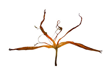 Similar image 21047505