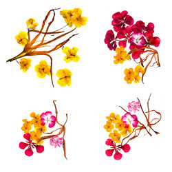 Similar image 21047607