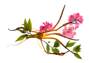 Similar image 21047608