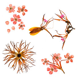 Similar image 21047613