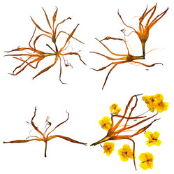 Similar image 21047614