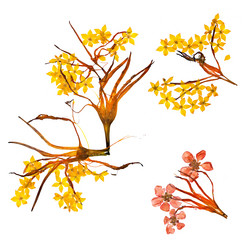 Similar image 21047619