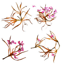 Similar image 21047621