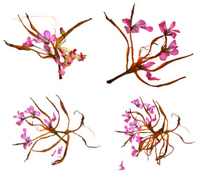 Similar image 21047622