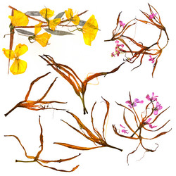 Similar image 21047623