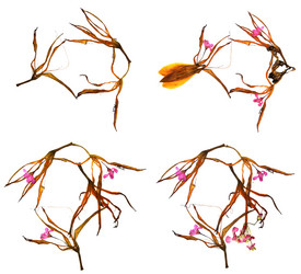 Similar image 21047624