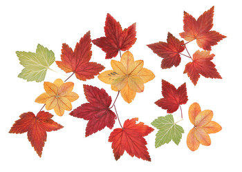 Similar image 21047629