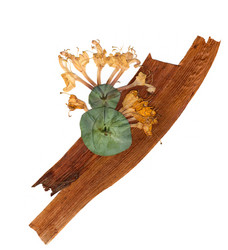 Similar image 21047632