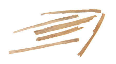 Similar image 21047633