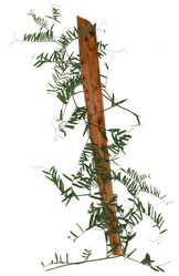 Similar image 21047634