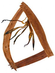 Similar image 21047676