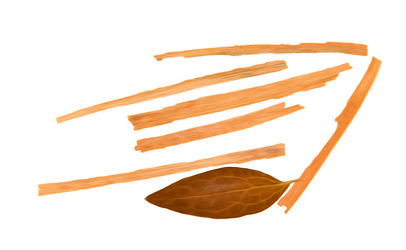 Similar image 21047677