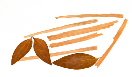 Similar image 21047679