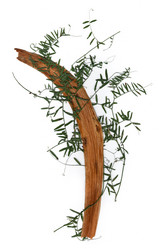 Similar image 21047680