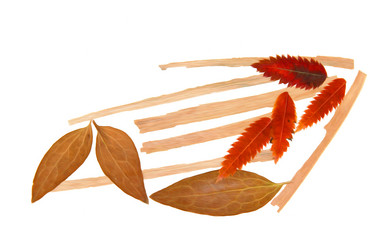 Similar image 21047681