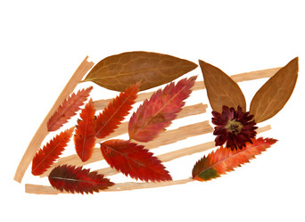 Similar image 21047683