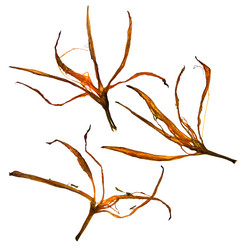 Similar image 21047723