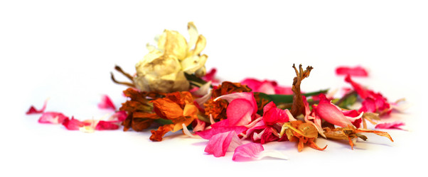 Similar image 21047725