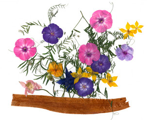 Similar image 21047726