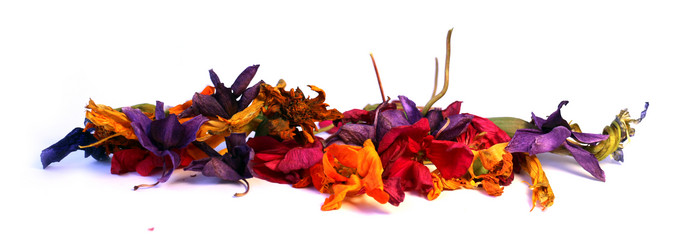 Similar image 21047727