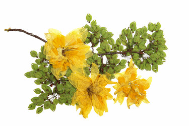 Similar image 21047729