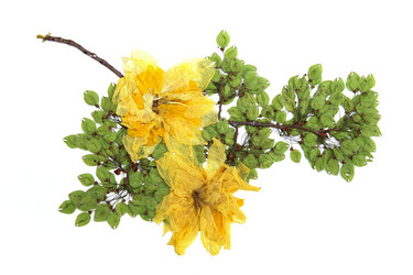 Similar image 21047731