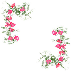 Similar image 21042686