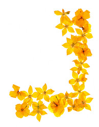 Similar image 21042689