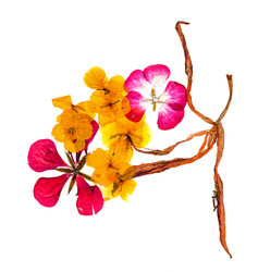 Similar image 21042693