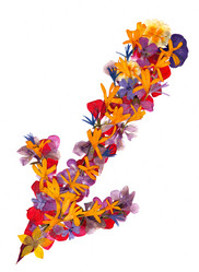 Similar image 21042694