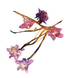 Similar image 21042695